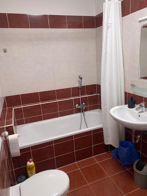 בודפשט Roland Apartment Downtown - Garay מראה חיצוני תמונה